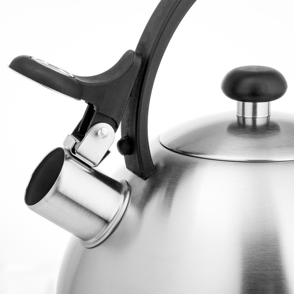 Чайник Lara LR00-65