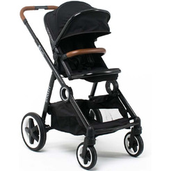 Прогулочная коляска BabyZz Dynasty (черный)