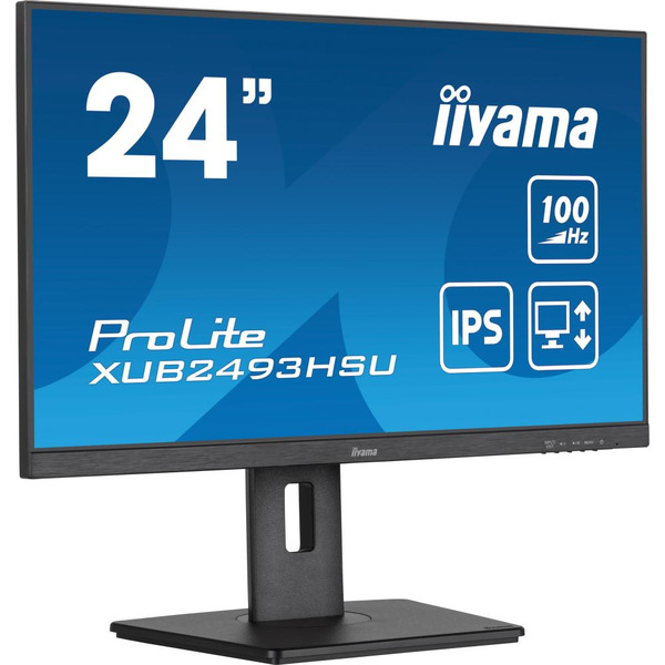 Монитор Iiyama ProLite XUB2493HSU-B7