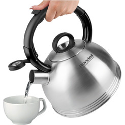 Чайник RONDELL Premiere RDS-237 2.4 л