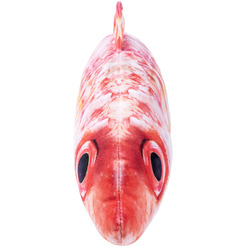 Мягкая игрушка Fancy Рыба барабулька RUB01