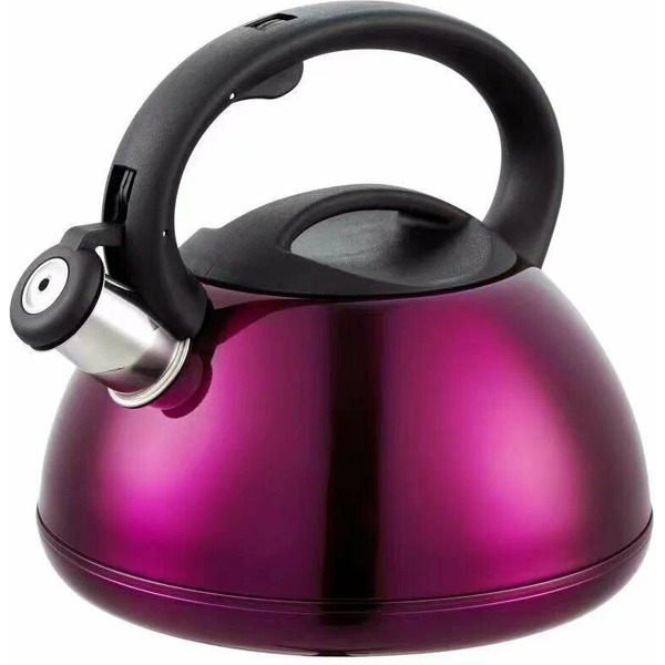 Чайник со свистком Kaisa Villa KV-501