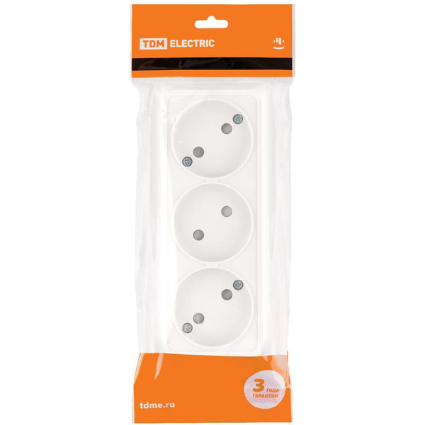 Розетка TDM Ладога SQ1801-0125 (белый)