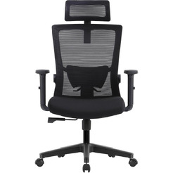 Кресло компьютерное EVOLUTION ErgoLine 1