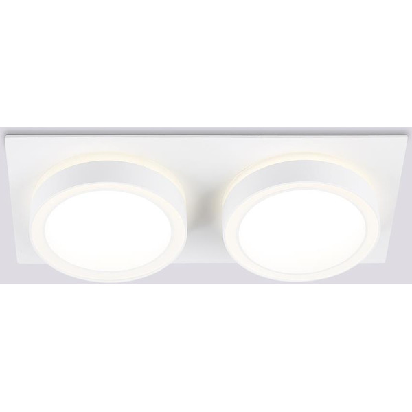 Светильник Ambrella TN52423/2 WH/FR (белый/белый матовый)