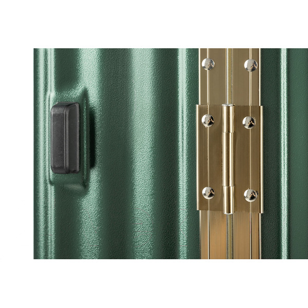 Чемодан DoubleW E087# (S, темно-зеленый)