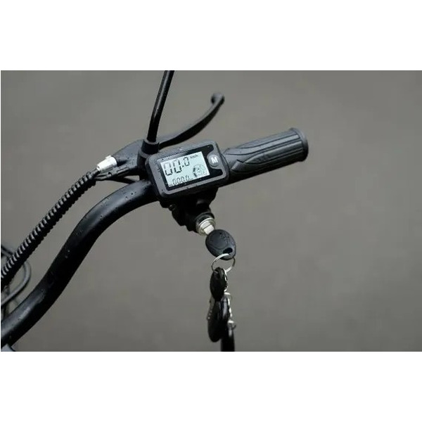 Электровелосипед AVM E-ALFA 20 Pro (черный)