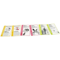 Настольная игра Hobby World 915482 Fluxx В стране чудес