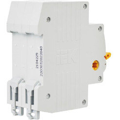 Выключатель нагрузки IEK ВН-32 2Р 40А MNV10-2-040