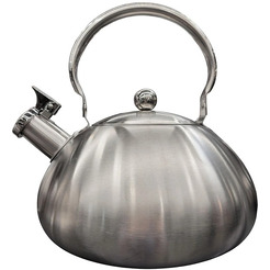 Чайник со свистком ASTIAT AST-1007