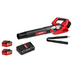 Воздуходувка Wortex BB 2536 (1333405)