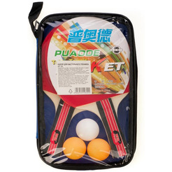 Настольный теннис Ausini 201