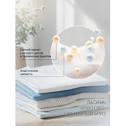 Гель для стирки PREMIUM HOUSE универсальный, 1 л