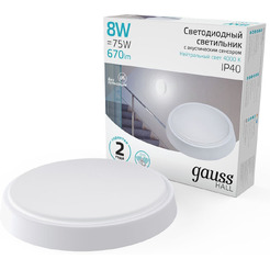 Светильник Gauss 193411208-OAS