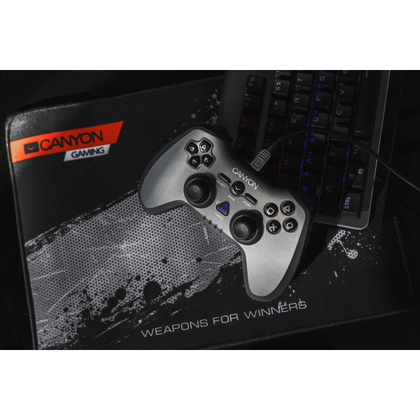 Коврик для мыши игровой CANYON CND-CMP3 черный