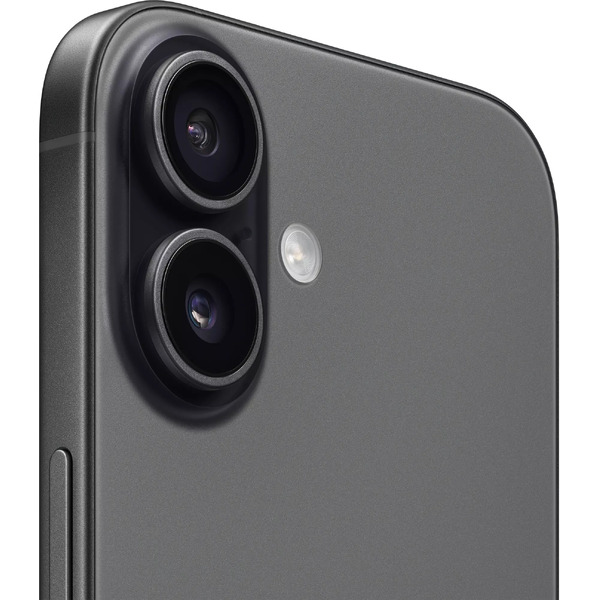 Смартфон Apple iPhone 17 256GB Black (MG774CH/A)