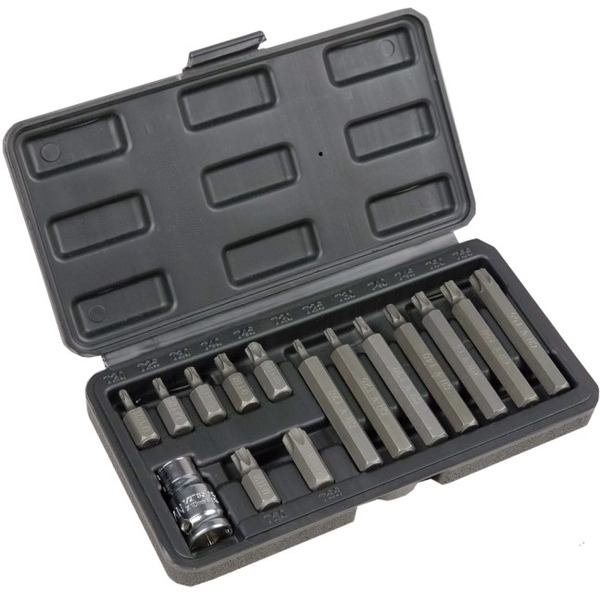 Набор бит СЕРВИС КЛЮЧ 76445 (15 предметов) торкс Т20-55