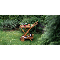 Сервировочная тележка Fieldman FDZN 4050-T