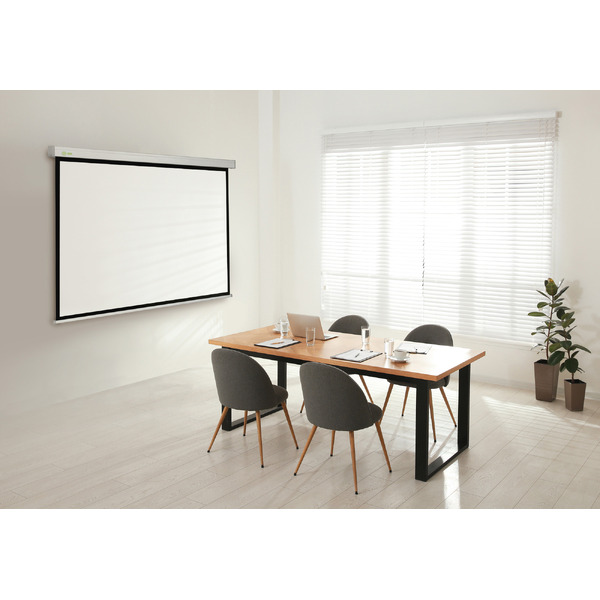 Экран Cactus CS-PSW-183X244