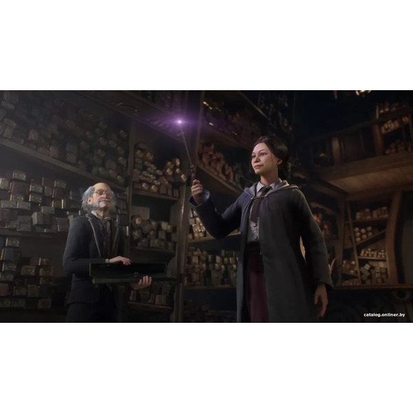 Игра Hogwarts Legacy для Xbox Series X
