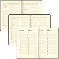 Еженедельник недатированный BRAUBERG Iguana 114478