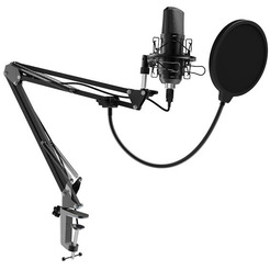 Микрофон Ritmix RDM-169