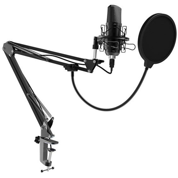 Микрофон Ritmix RDM-169