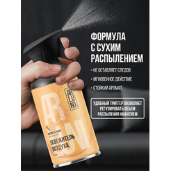 Освежитель воздуха ARLUNI Персик пион, 250 мл