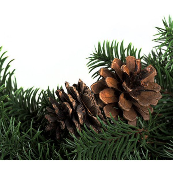 Еловый венок Neon-Night 307-144 (с шишками)