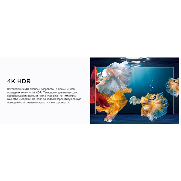 Телевизор TCL 43P615