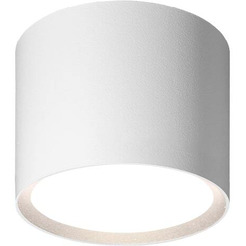 Накладной светильник WOLTA WSL-GX53/01W