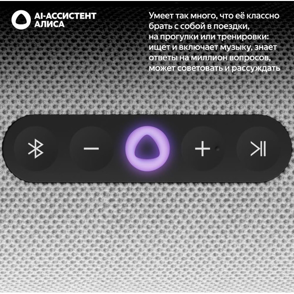 Портативная Умная колонка Яндекс.Станция Стрит YNDX-00030GRY (серый)