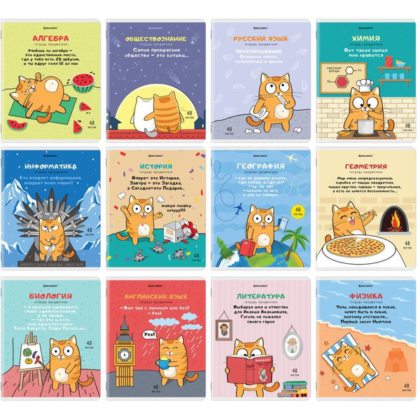 Тетради предметные BRAUBERG 404609 (КОМПЛЕКТ 12 ПРЕДМЕТОВ, 48л, TWIN лак)