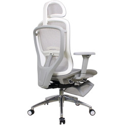 Кресло компьютерное EVOLUTION ERGO ELITE Grey