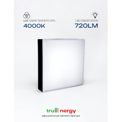 Светильник TruEnergy AURA 11169
