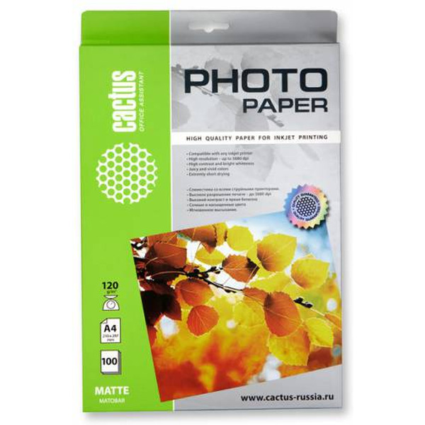Фотобумага Cactus CS-MA4120100