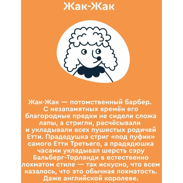 Мягкая игрушка Junion Пудель Жак-Жак из Плюшвиля AKGY0409