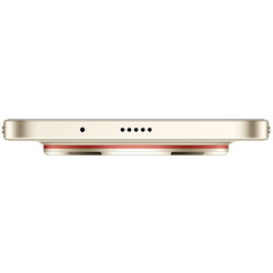 Смартфон HUAWEI nova 15 Max 8GB/256GB CHZ-LX1 (золотистый)