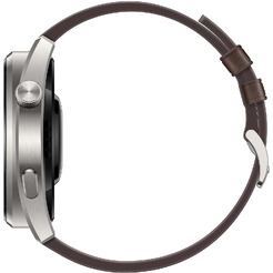 Смарт-часы HUAWEI Watch 3 Pro (GLL-AL01) Brown