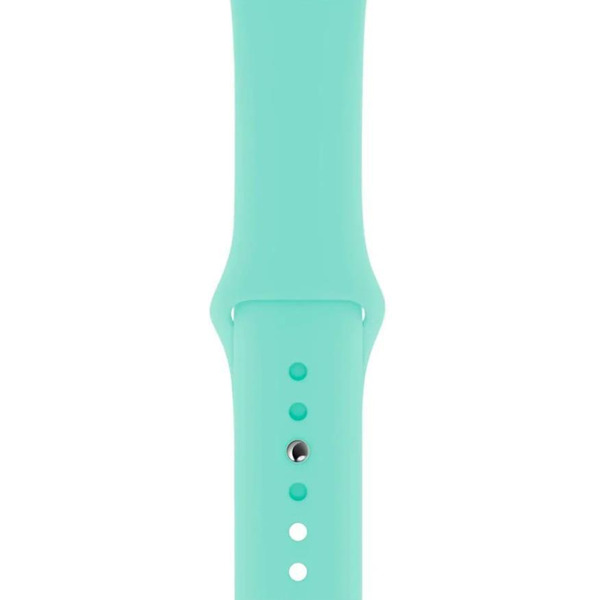Ремешок Bingo Silicone для APPLE Watch 38/40/41mm (S) Мята
