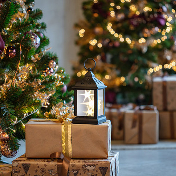 Декоративный фонарь NEON-NIGHT 513-065