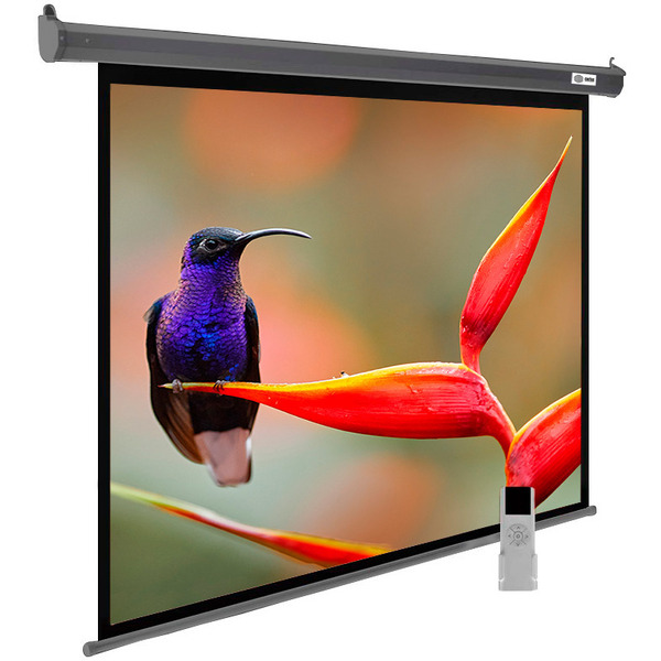Проекционный экран CACTUS SIlverMotoExpert 138x220 CS-PSSME-220X138-DG