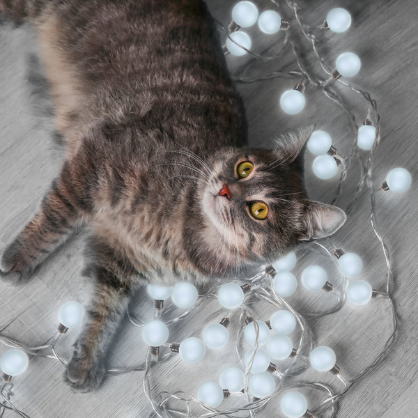 Новогодняя гирлянда Gauss Solar GS033