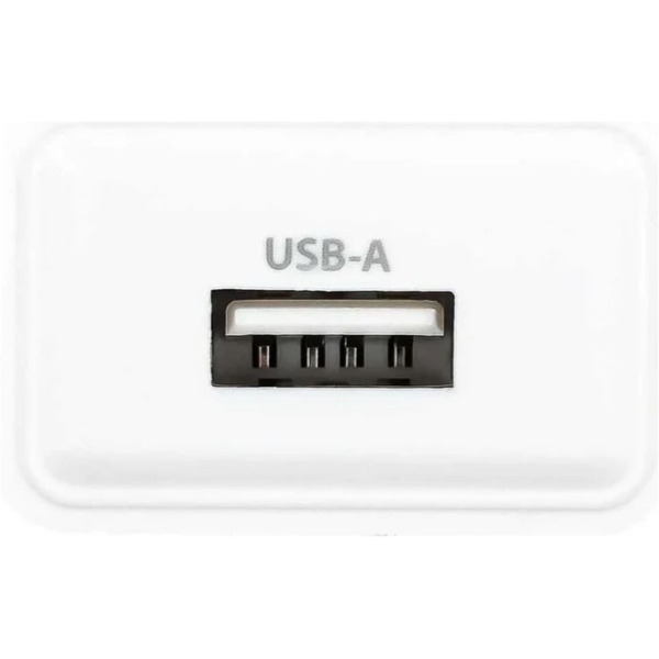 Сетевое зарядное Buro BUWA1 (белый)