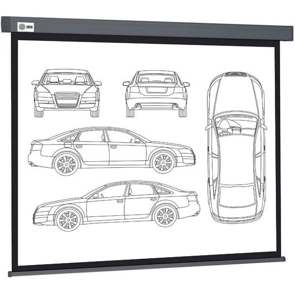 Экран Cactus CS-PSW-168X299-SG