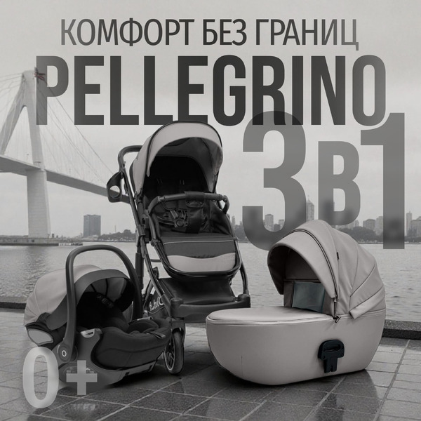 Детская универсальная коляска Bubago Pellegrino 3 в 1 BG 163-2 (серый)