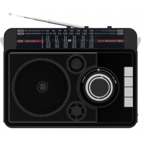 Радиоприемник Ritmix RPR-205 Black