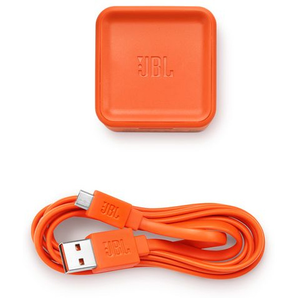 Беспроводная акустическая система JBL Tuner FM