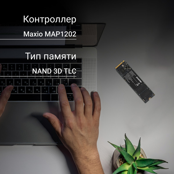 SSD Digma Mega M2 2TB DGSM3002TM23T