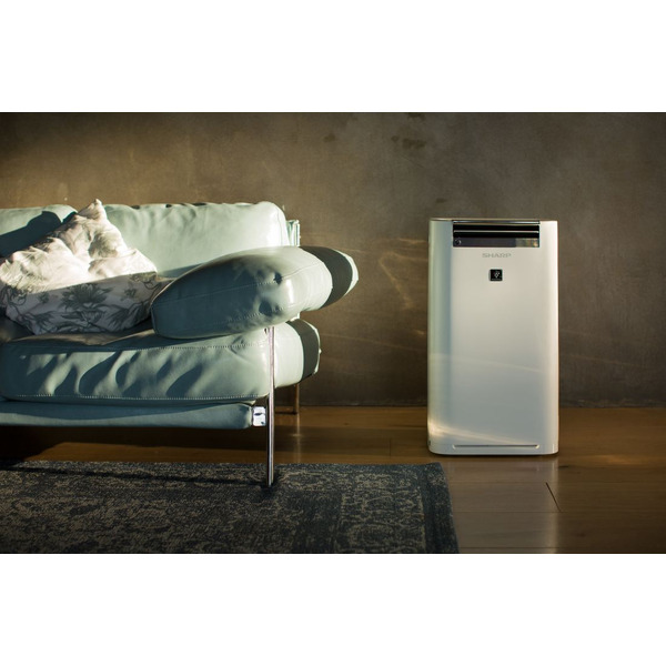 Очиститель воздуха с функцией увлажнения Sharp KCG41RW